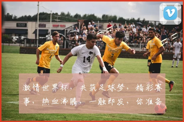 激情世界杯，共筑足球梦，精彩赛事，热血沸腾，一触即发，你准备好了吗