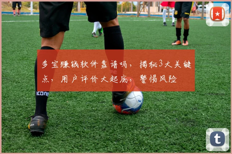 多宝赚钱软件靠谱吗，揭秘3大关键点，用户评价大起底，警惕风险