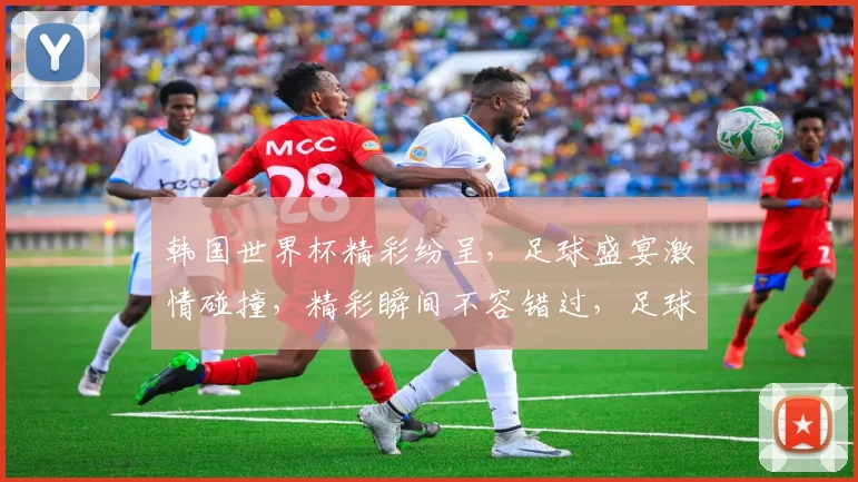 韩国世界杯精彩纷呈，足球盛宴激情碰撞，精彩瞬间不容错过，足球迷必看