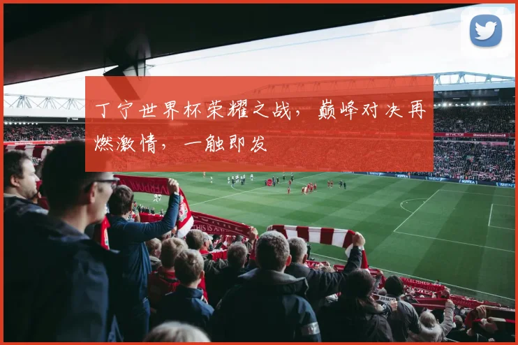 丁宁世界杯荣耀之战，巅峰对决再燃激情，一触即发